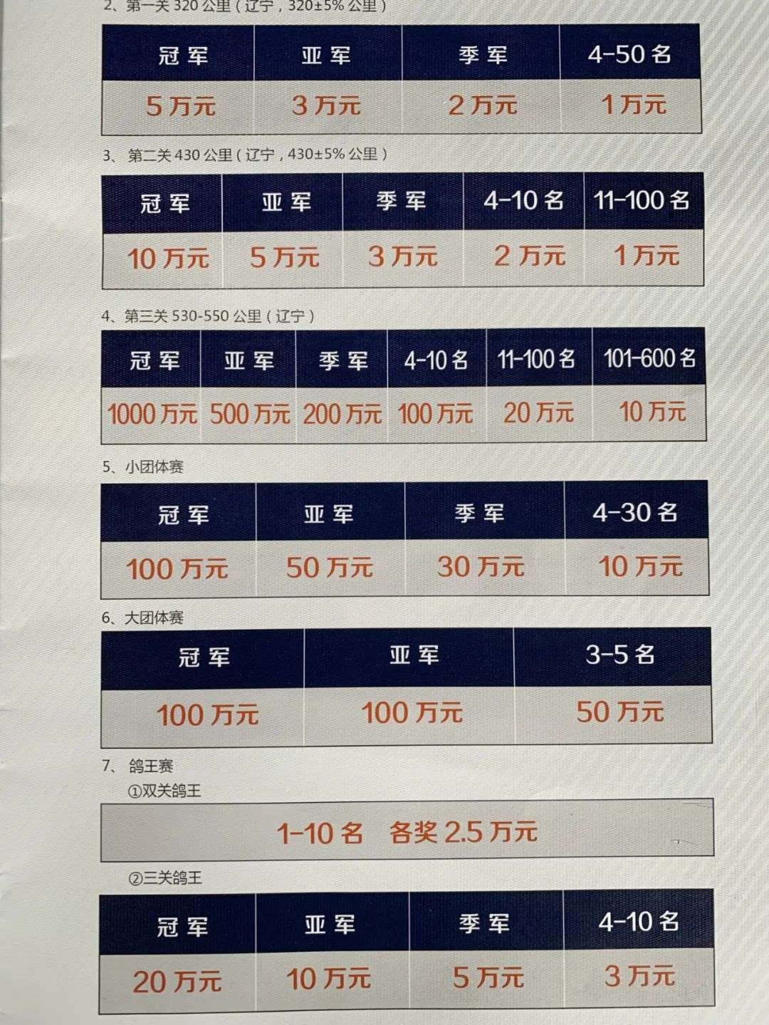 鸽业养殖_养殖技术鸽子_成绩鸽养殖技术