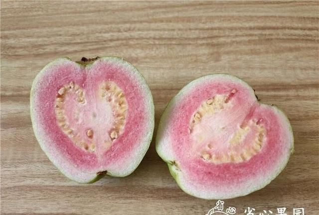 芭乐什么品种最好吃,芭乐哪个品种好吃图11