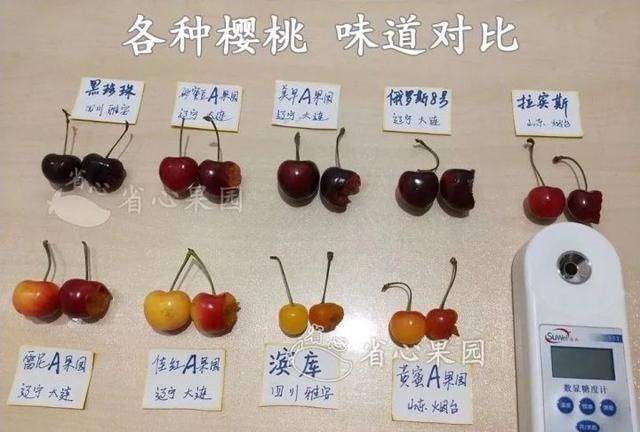 芭乐什么品种最好吃,芭乐哪个品种好吃图16