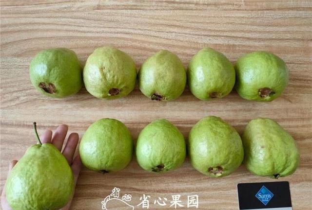 芭乐什么品种最好吃,芭乐哪个品种好吃图5