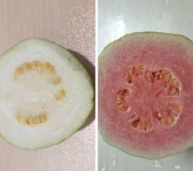 芭乐什么品种最好吃,芭乐哪个品种好吃图9