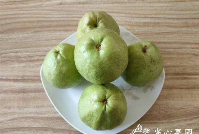 芭乐什么品种最好吃,芭乐哪个品种好吃图10