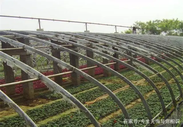 致富经致富经_致富加盟_农业致富好项目
