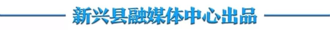 鸿运当头的培植方法_种鸿运当头需要注意什么_种植鸿运当头致富