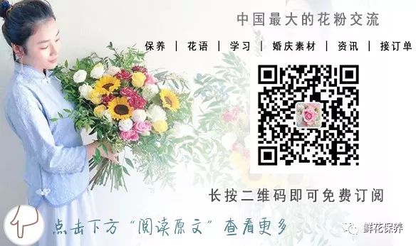 鸿运当头的培植方法_鸿运当头的种子_种植鸿运当头致富