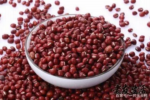 红豆种植技术小结怎么写_小红豆的种植技术_红豆种植技术小结