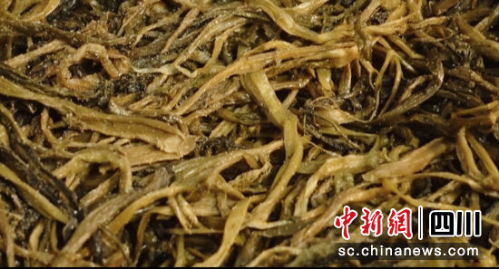 味道极佳的优质宜宾芽菜。朱思雨 摄
