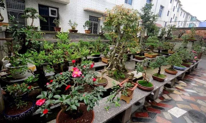 蜘蛛养殖致富视频_视频致富蜘蛛养殖大师_蜘蛛养殖场视频