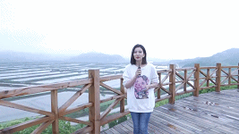 蜘蛛养殖致富视频_蜘蛛养殖场视频_视频致富蜘蛛养殖大师