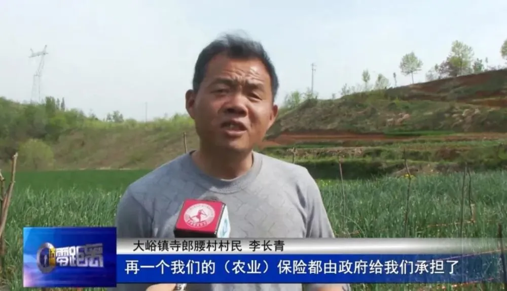 室内种植致富_致富种植家庭内容简介_家庭内种植致富