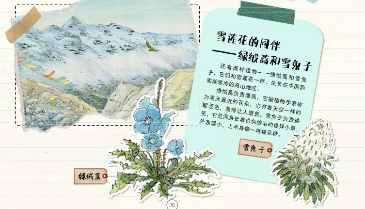 唐菖蒲的种植方法_唐菖蒲种子种植技术_唐菖蒲栽培技术