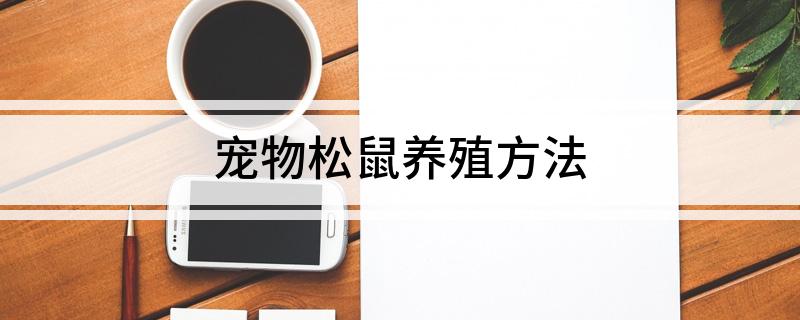 宠物松鼠养殖方法