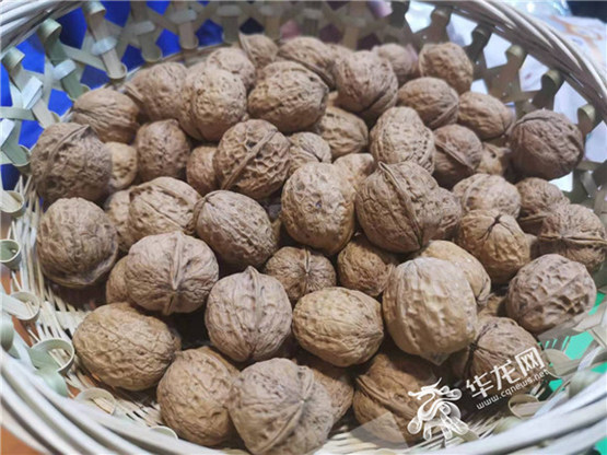 致富核桃种植技术视频_致富经核桃的种植_致富核桃种植方法