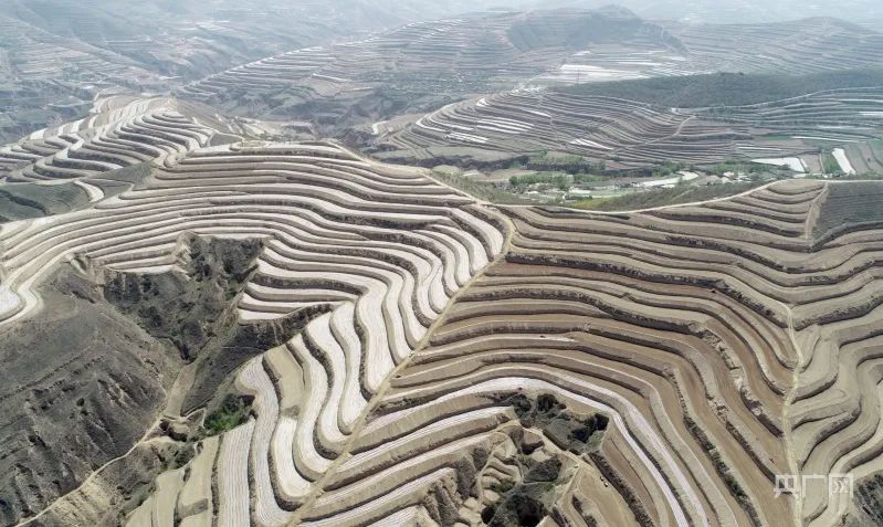 甘肃种植基地_甘肃省种植什么_甘肃种植什么致富