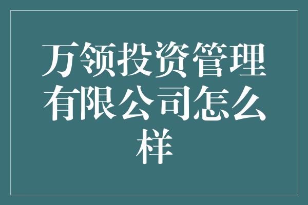 万领投资管理有限公司：打造稳定增长的理财之选