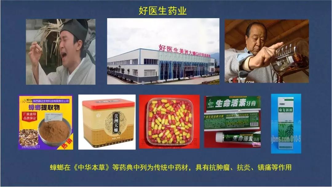 食用水虻的养殖技术_水虻养殖视频_虻虫人工养殖
