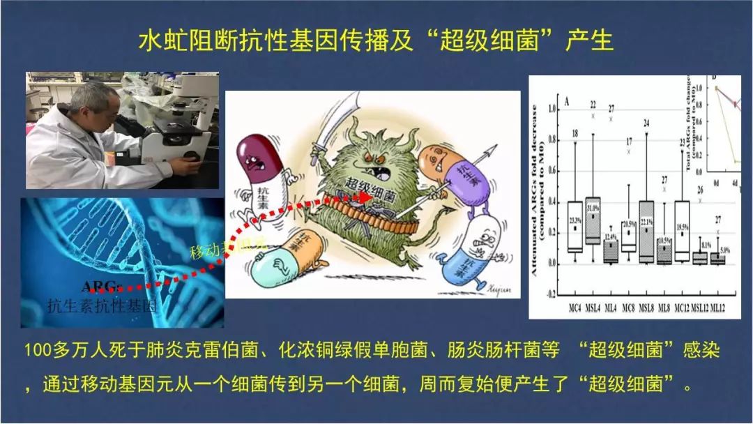虻虫人工养殖_水虻养殖视频_食用水虻的养殖技术