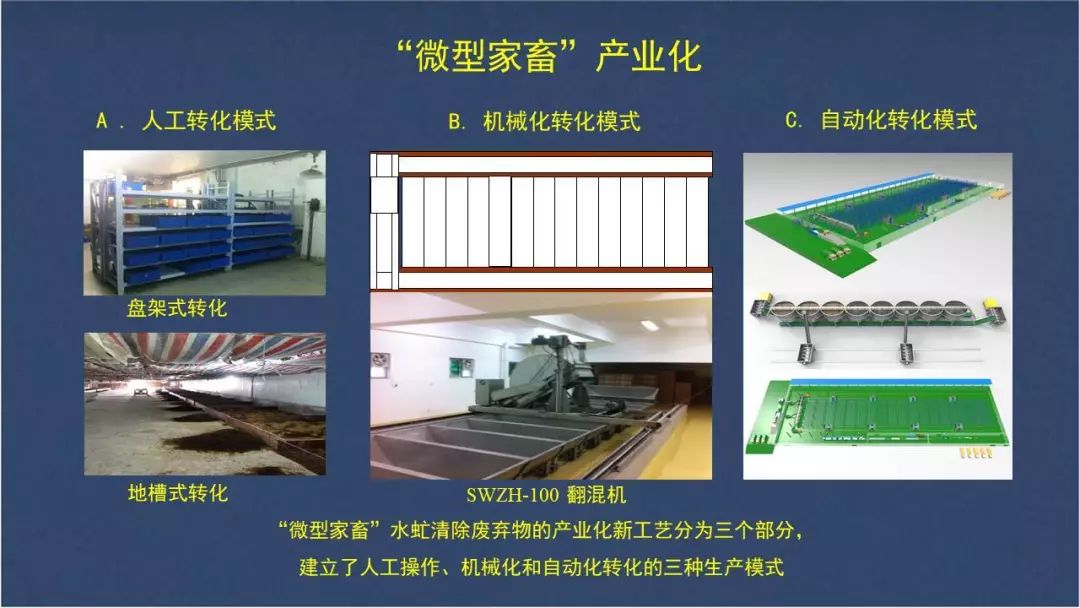 食用水虻的养殖技术_水虻养殖视频_虻虫人工养殖