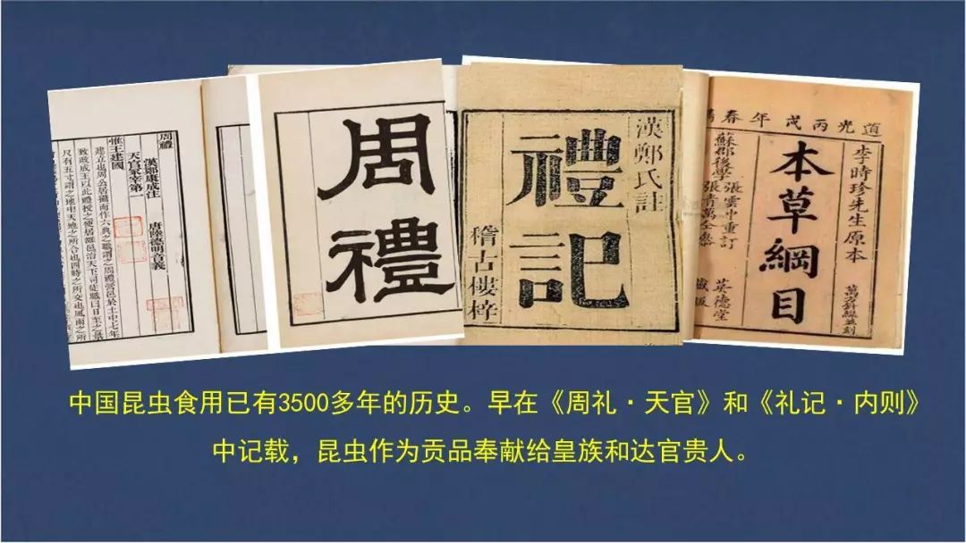 食用水虻的养殖技术_虻虫人工养殖_水虻养殖视频