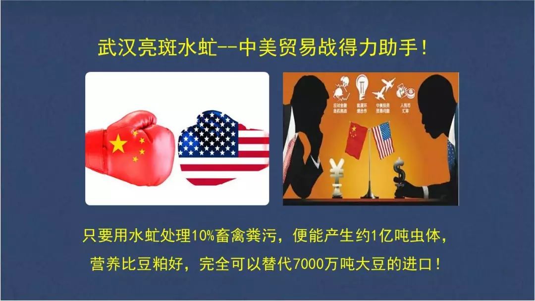 虻虫人工养殖_食用水虻的养殖技术_水虻养殖视频