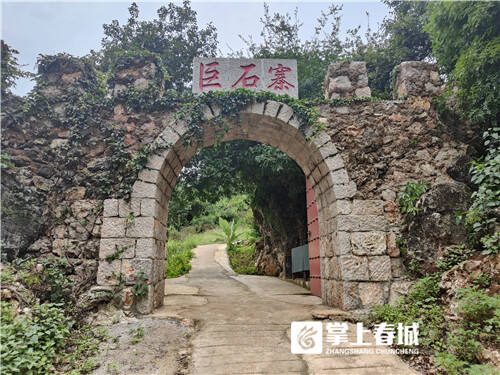 葱的高产四季栽培技术_四季葱种植视频_致富经四季葱种植