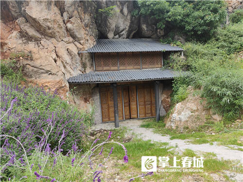 葱的高产四季栽培技术_致富经四季葱种植_四季葱种植视频