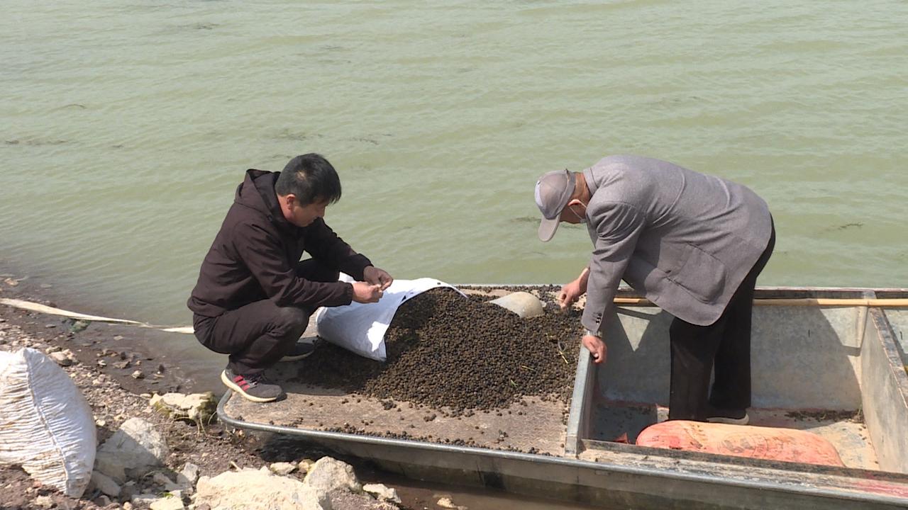 致富种植农村信息简报_农村致富信息种植_致富种植农村信息怎么写