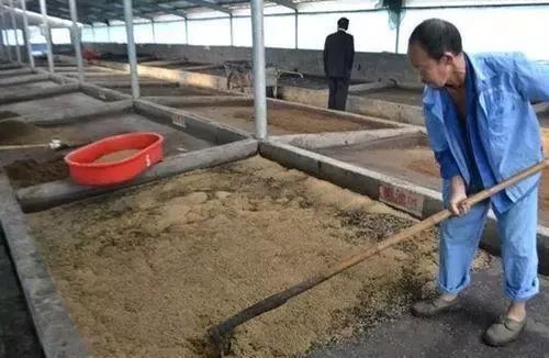 苍鹰养殖繁殖手续_养殖苍鹰致富_苍鹰养殖基地