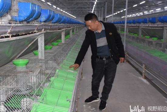 致富养殖肉兔_养殖肉兔效益怎么样_致富经创业项目农村养殖肉兔