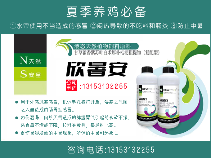 视频养殖鸡技术视频教程_鸡的养殖技术视频_视频养殖鸡技术大全