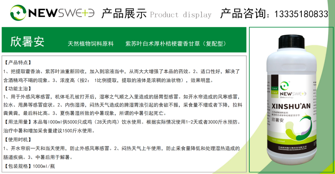 视频养殖鸡技术教程_养殖鸡技术视频播放_鸡的养殖技术视频