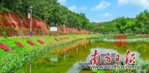 梅州：过去一年，乡村振兴的梅州答卷