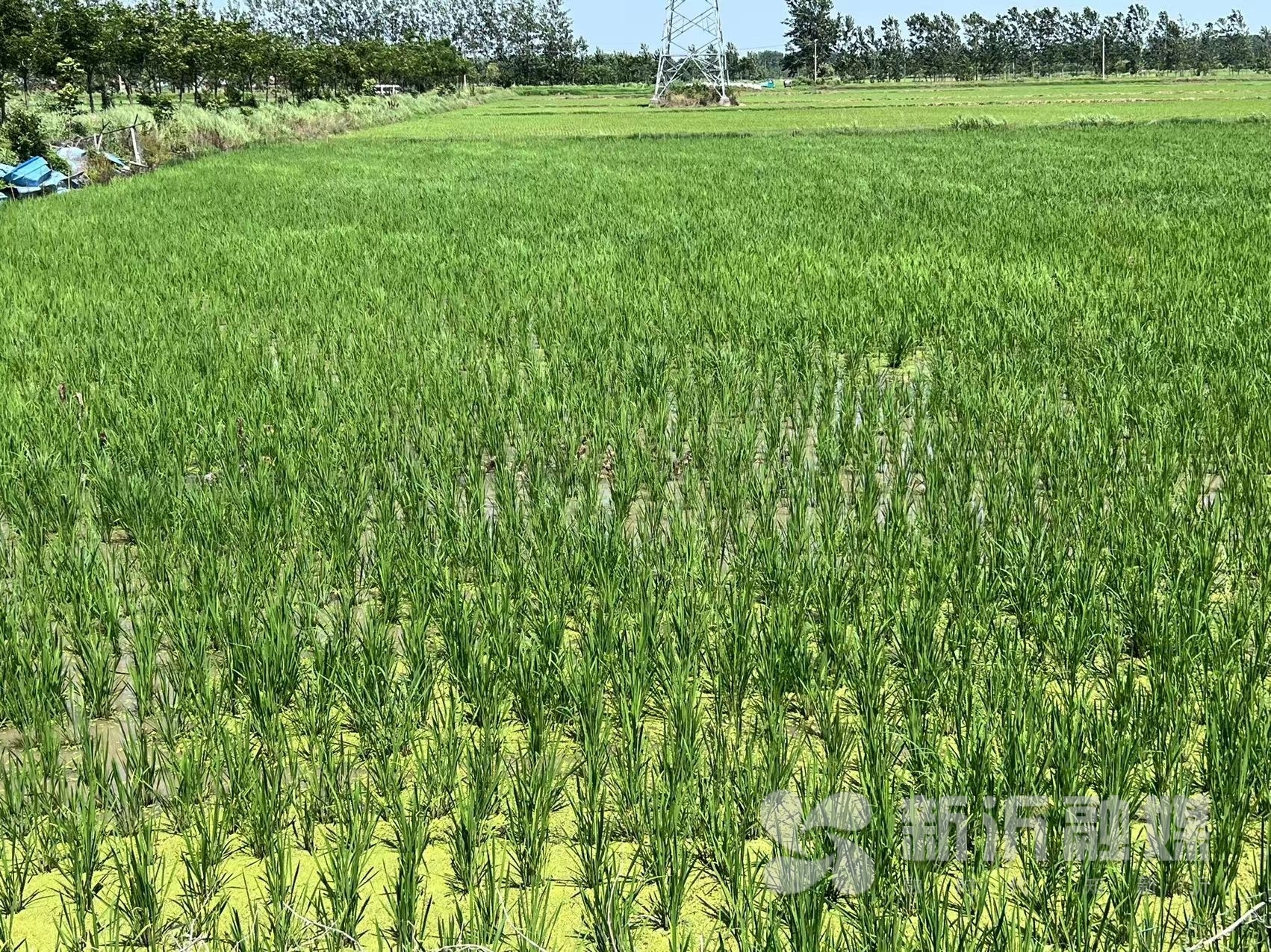 致富养殖军事项目有哪些_养殖致富项目 军事_致富养殖军事项目是什么