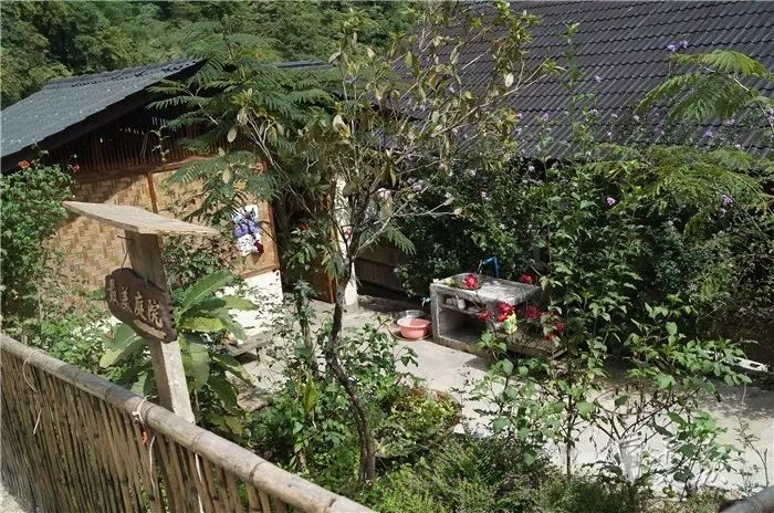 蕙兰种植技术_惠兰种植致富_种植惠兰视频