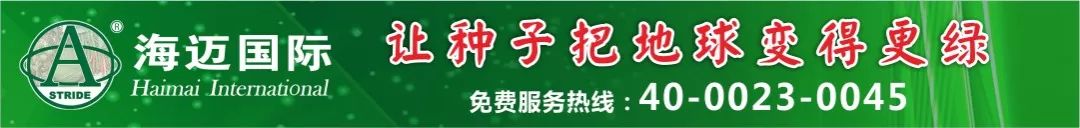 山药套管种植技术视频_山药套管种植技术要求_套管山药种植技术
