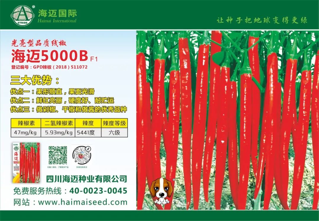 山药套管种植技术视频_套管山药种植技术_山药套管种植技术要求