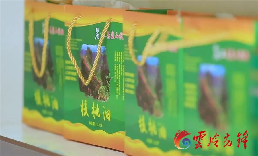 致富经林下魔芋_致富经魔芋种植_致富经林下种植魔芋视频
