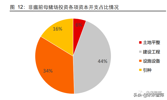 母猪养殖管理技术_养殖母猪管理技术规程_养殖母猪技术大全