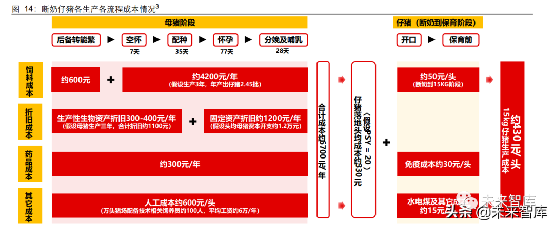 养殖母猪管理技术规程_养殖母猪技术大全_母猪养殖管理技术