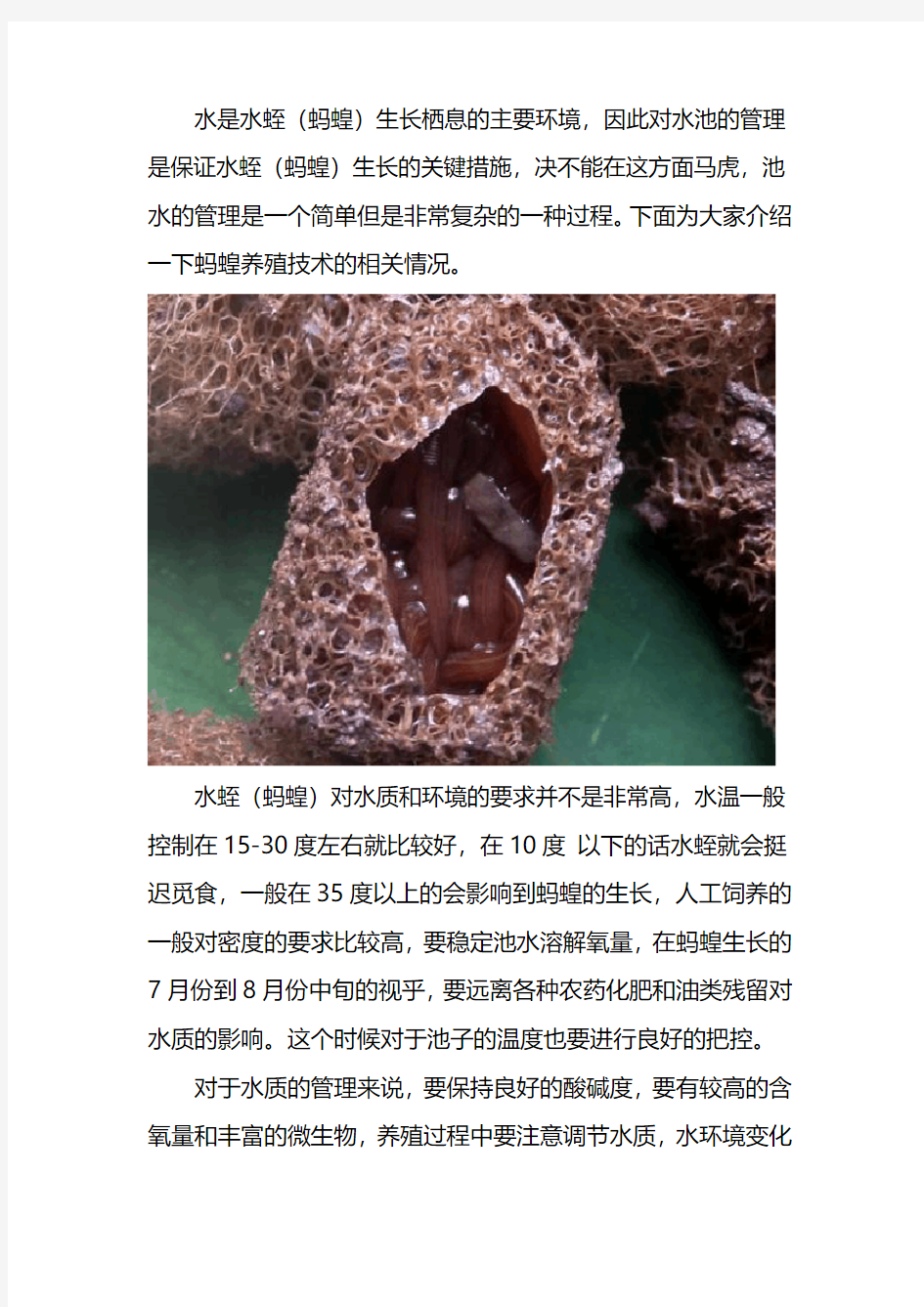 蚂蝗养殖技术