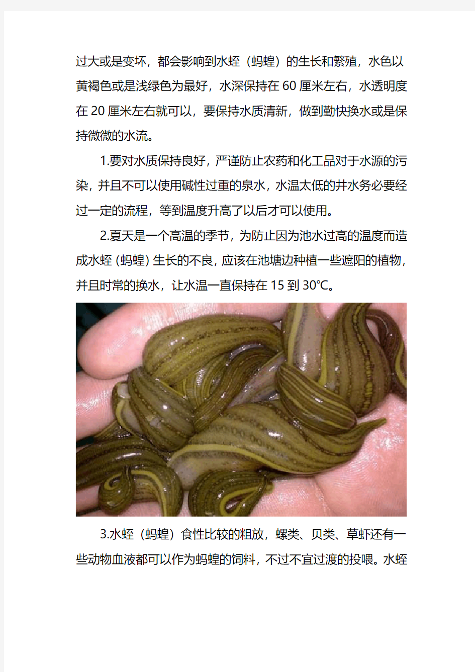 蚂蝗养殖技术
