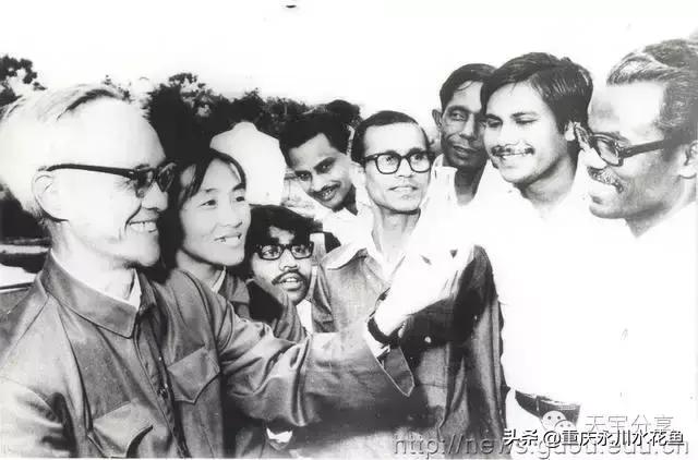 重庆蟾蜍养殖新技术_重庆蟾蜍养殖新技术_重庆蟾蜍养殖新技术