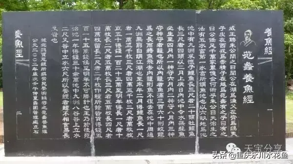 重庆蟾蜍养殖新技术_重庆蟾蜍养殖新技术_重庆蟾蜍养殖新技术