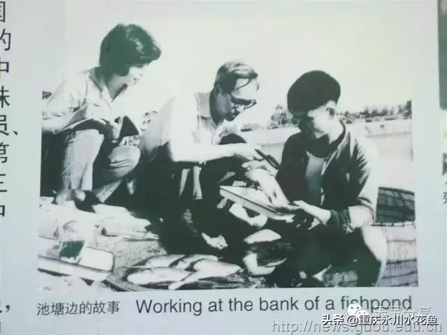 重庆蟾蜍养殖新技术_重庆蟾蜍养殖新技术_重庆蟾蜍养殖新技术