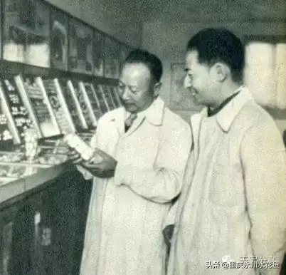 重庆蟾蜍养殖新技术_重庆蟾蜍养殖新技术_重庆蟾蜍养殖新技术