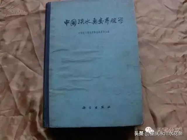 重庆蟾蜍养殖新技术_重庆蟾蜍养殖新技术_重庆蟾蜍养殖新技术