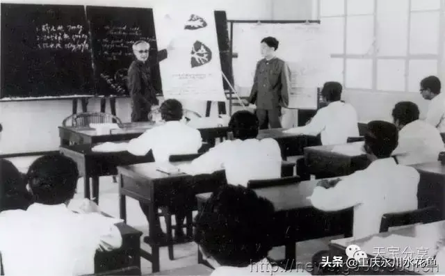 重庆蟾蜍养殖新技术_重庆蟾蜍养殖新技术_重庆蟾蜍养殖新技术