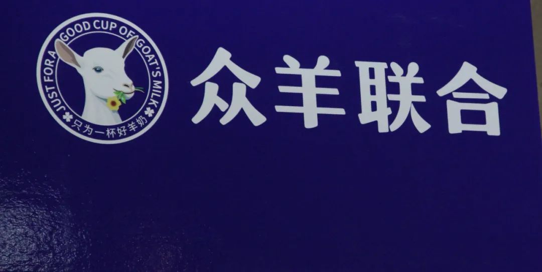 丹桂的养殖方法及注意事项_丹桂如何养殖_丹桂的养殖技术