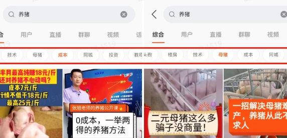 想致富养猪_致富经傻瓜养猪法_养猪致富秘籍图片