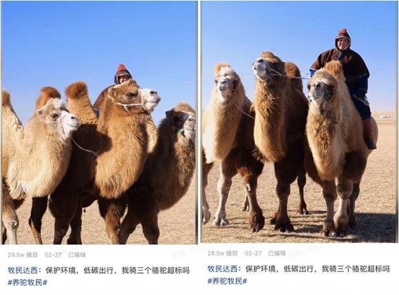 致富经傻瓜养猪法_想致富养猪_养猪致富秘籍图片